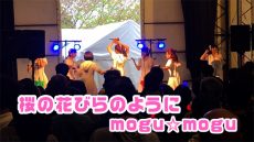 桜の花びらのように/mogu☆mogu